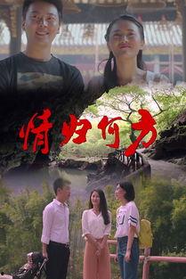 情归何方,探寻爱情归宿的浪漫旅程