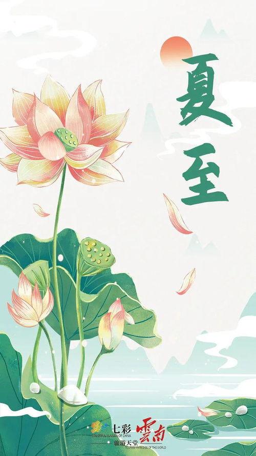 年年夏日,时光如歌