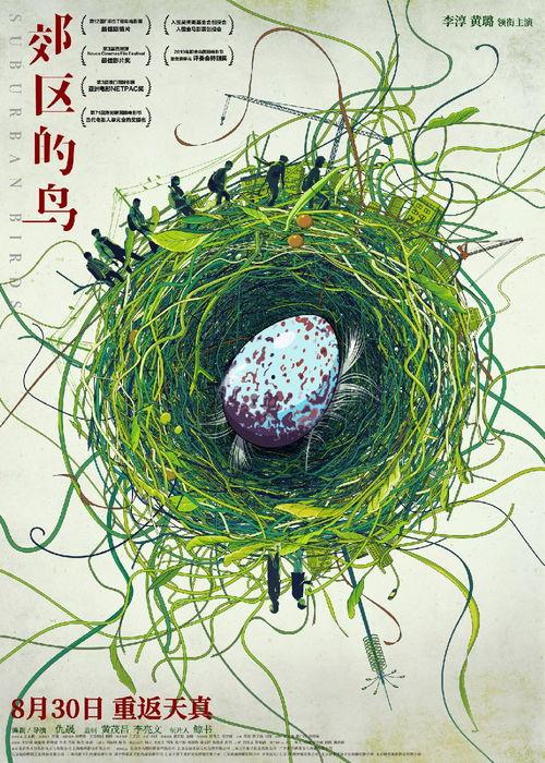 郊区的鸟,探寻自然和谐之美